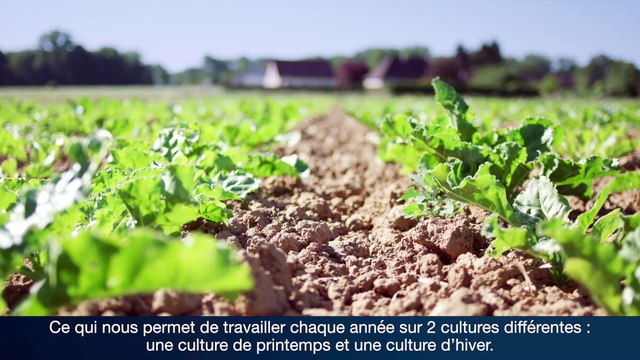 Désherbage : les résultats technico-économiques des plateformes Herbinnov