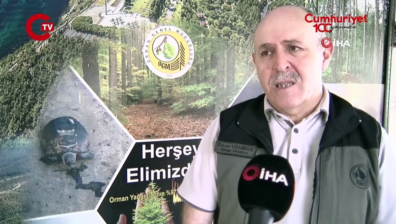 Çanakkale’de bir ayda 132 yangın: 2 bin 625 futbol sahası büyüklüğünde orman yok oldu