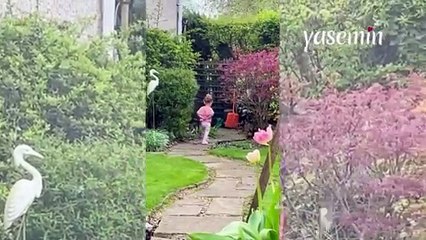 Büyükbabasının izinden giden küçük kız yüzleri gülümsetti!