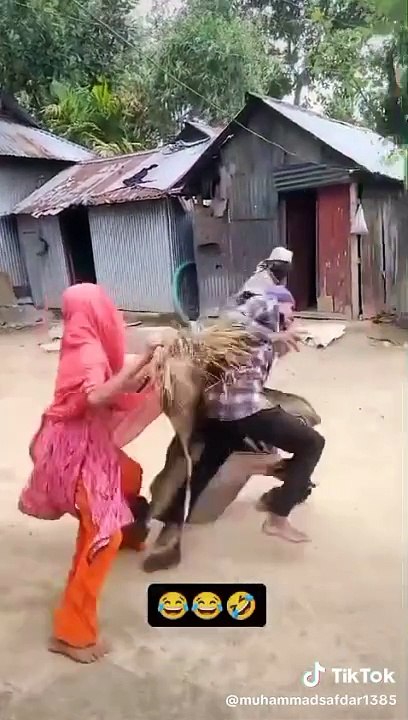 Funny videos