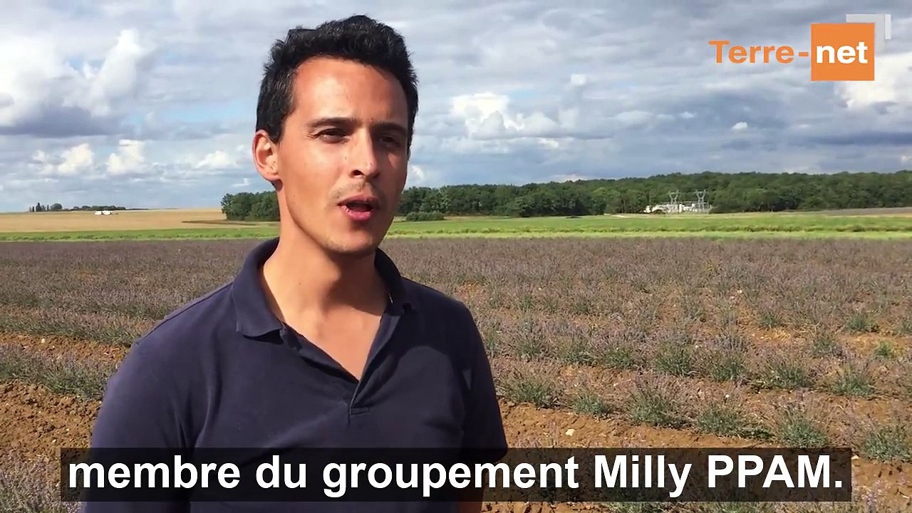 Avec les PPAM, un parfum de diversification pour répartir les risques