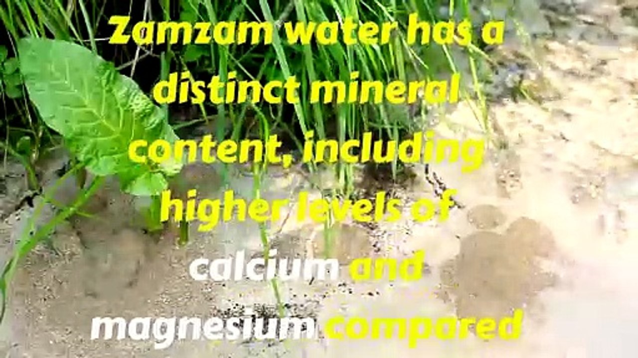 "Zamzam Water: The Ancient Well with Unbelievable Scientific Miracles"