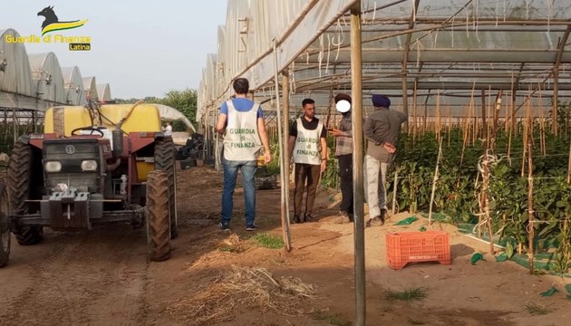 Caporalato, blitz dei finanzieri a Sabaudia e Terracina: lavoratori stranieri clandestini e senza contratto (10.07.24)