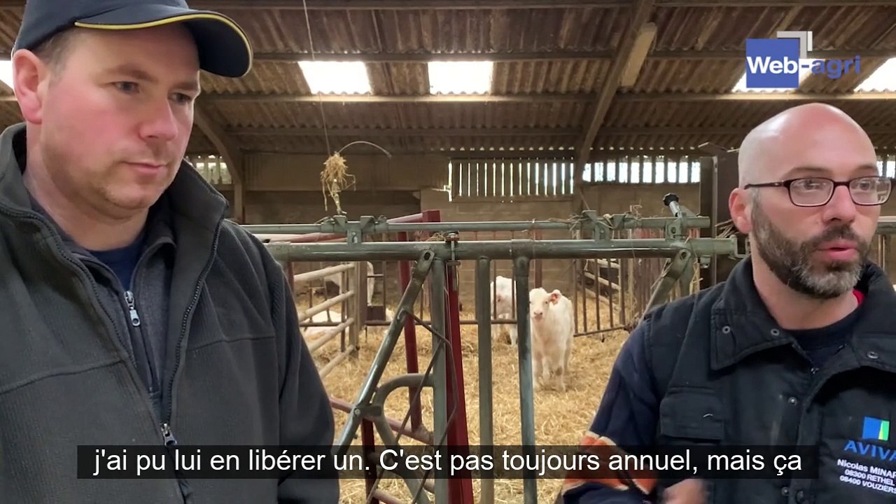 Acheter les taureaux en copropriété pour accéde...