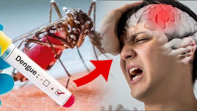 Dengue Brain S-troke Risk: Dengue Se Brain S-troke Hota Hai Kya | Dengue Effect Brain | Boldsky