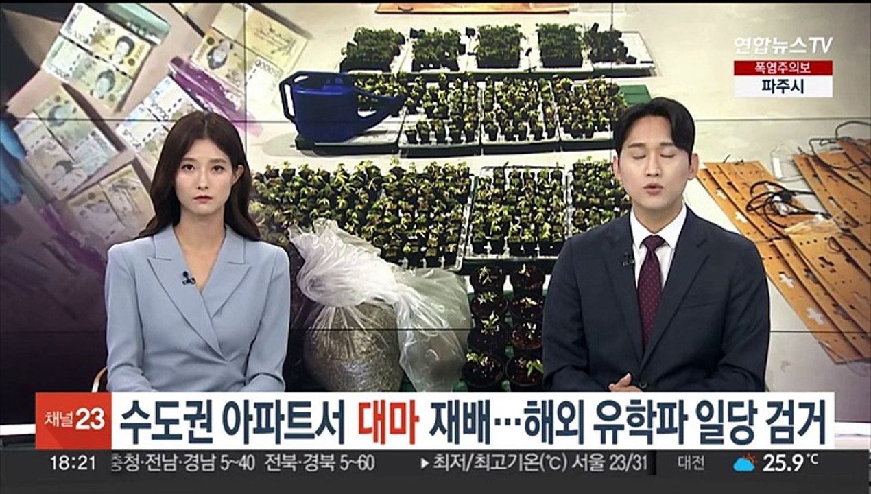 아파트서 대마 재배…해외 유학파 일당 검거