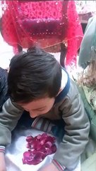 Ali murshed in jashan pak