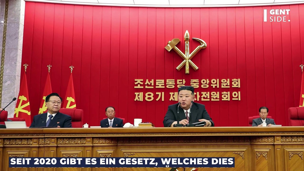 Hingerichtet wegen Regelverstoß: Nordkorea 'schützt' Bevölkerung vor südkoreanischem Einfluss