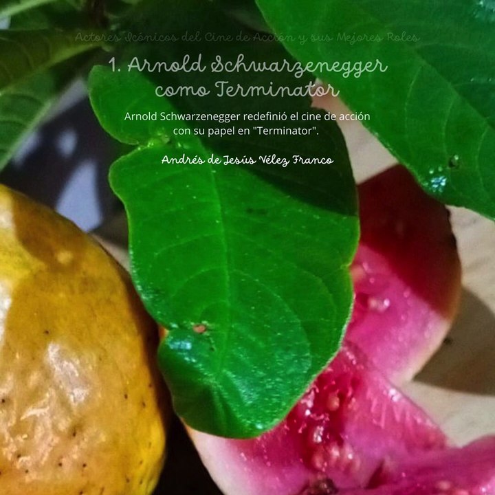 - Andrés de Jesús Vélez Franco- Actores Icónicos del Cine de Acción y sus Mejores Roles (PARTE 1) (@AndresdeJesus90)