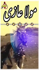 Mula ghazl | Muharam 2024 | noha I ya Ali | Karbala