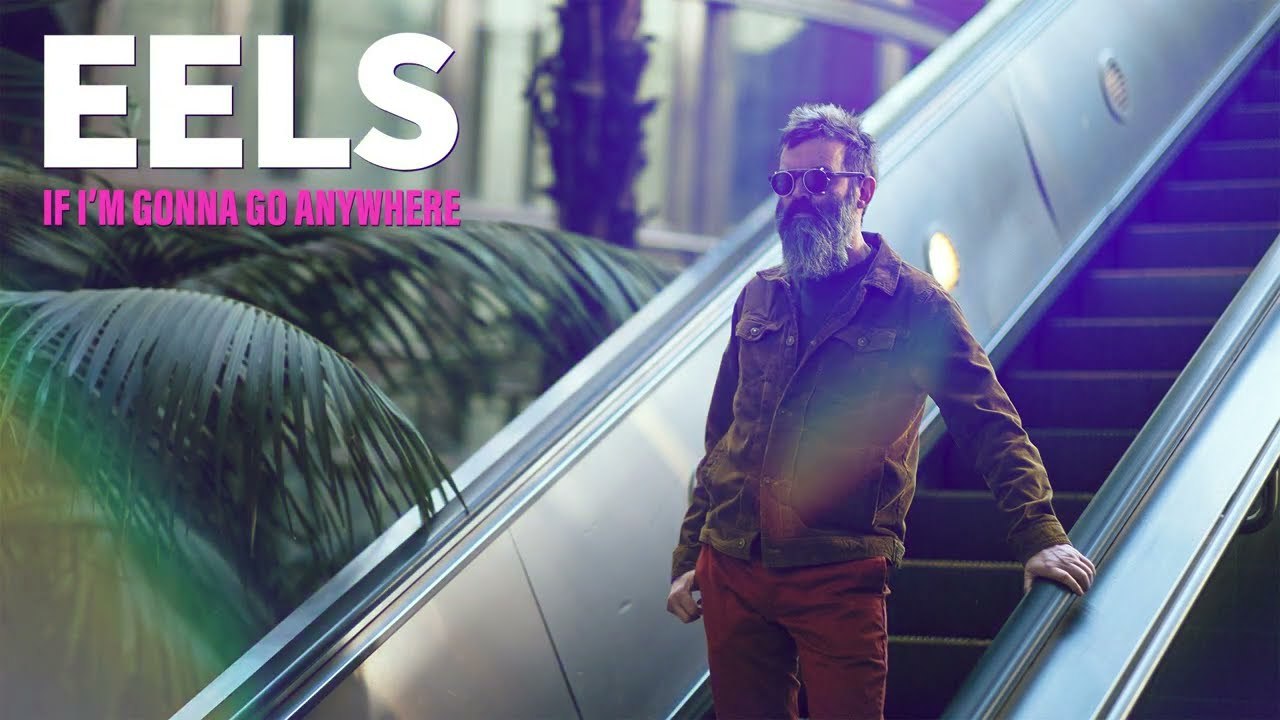 EELS - If I’m Gonna Go Anywhere (official audio) | EELS Time! (2024)