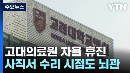 고대의료원 무기한 자율 휴진...수련병원, 사직서 수리 시점 고심 / YTN