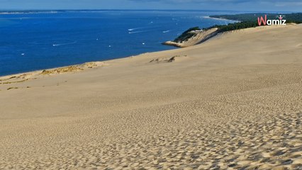 En promenade sur la plage, son chien fait une découverte macabre
