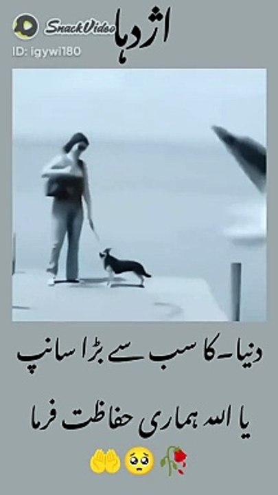 Funny video