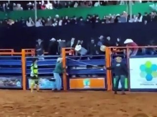 Peão morre após ser pisoteado por touro durante rodeio; fato foi registrado em vídeo