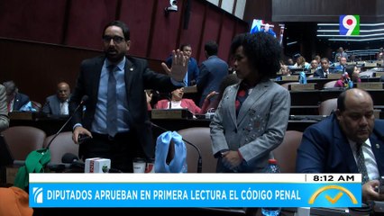 Diputados aprueban en primera lectura el Código Penal | El Despertador