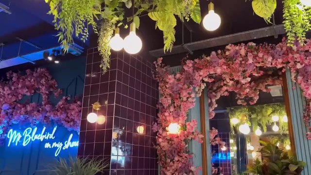 Inside Flower Cafe in Newcastle as it prepares to branch into Sunderland