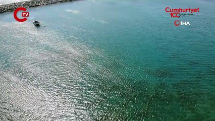 Köpek balığı sürüsüyle burun buruna gelen dalgıç o anları anlattı_ Bizle çok ilgilenmediler