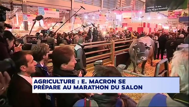 Que retenir de l'inauguration du Salon de l'agriculture par Emmanuel Macron ?