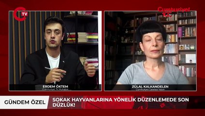 AKP'nin tepki çeken sokak hayvanları düzenlemesinde son düzlük. Rant iddiaları... Zülal Kalkandelen yeni düzenlemeye yönelik konuştu._1