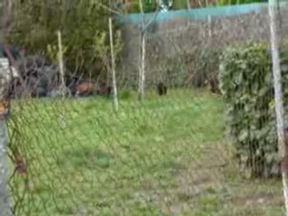 P1000642