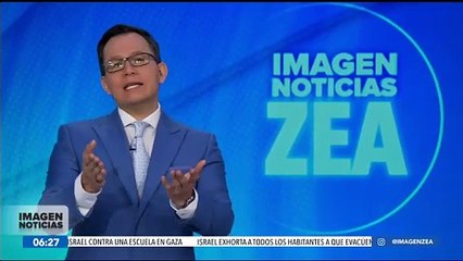 Niña cubre de estampitas a sus perritos