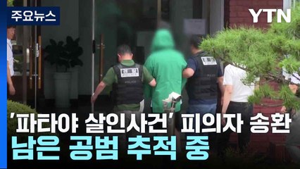 '파타야 살인사건' 피의자 송환...남은 공범 추적 중 / YTN