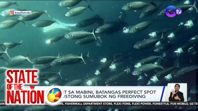 State of the Nation Part 2 & 3: Perfect spot para sa freediving ; Naligo sa pawis
