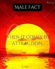 Men's Visual Attraction to Physical Appearance 👀