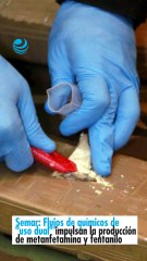 Semar: Flujos de químicos de "uso dual" impulsan la producción de metanfetamina y fentanilo