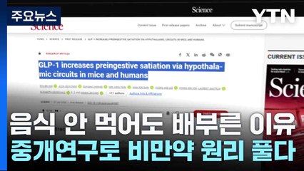 음식 안 먹어도 해도 배부른 이유...중개연구로 비만약 원리 풀다 / YTN