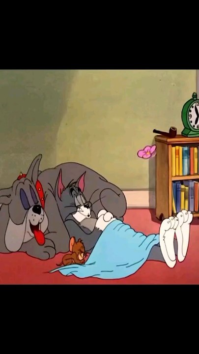 Tom and jerry funny  cartoon 