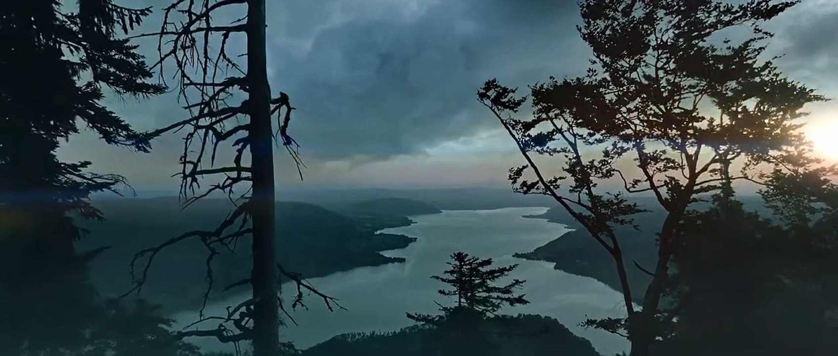 Quieren ver algo muy muy bueno LOGAN THE WOLF