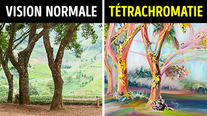 Votre corps fait des choses incroyables depuis votre naissance.