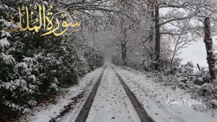 Surah Al Mulk سورة الملك | Relaxing Heart Touching Recitation