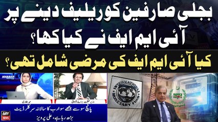 What did the IMF say about giving relief to electricity consumers? - Ali Pervaiz Malik's Reaction