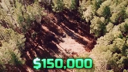 Survive in jungle and win $10,000