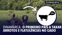 DINAMARCA: O primeiro país a taxar arrotos e flatulências no gado