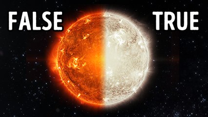 33 True or False Questions to Test Your Weird Fact Knowledge