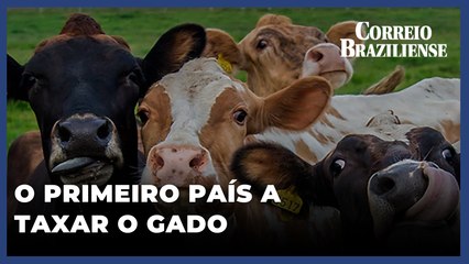 DINAMARCA VAI TAXAR ARROTOS E FLATULÊNCIAS DO GADO