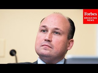 Nick Langworthy Bemoans Dishwasher Standards That 'Serve The Radical Woke Environmental Agenda'