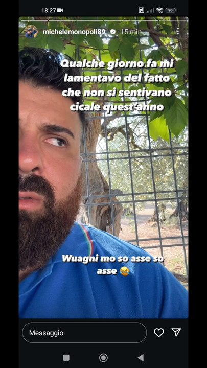 le cicale a go go