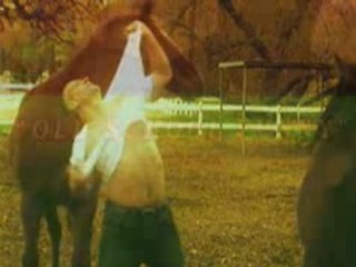 Gamers: The Passionate Gaming Community 🎮