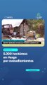 5.000 hectáreas en riesgo por avasallamientos