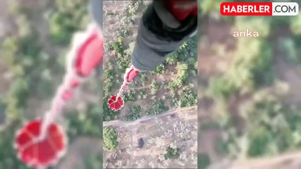 Aydın'ın Germencik ilçesinde orman yangını çıktı