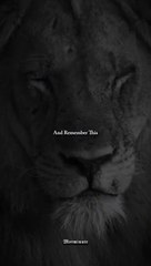 Remember this quotes