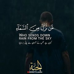 Qurani talimaat