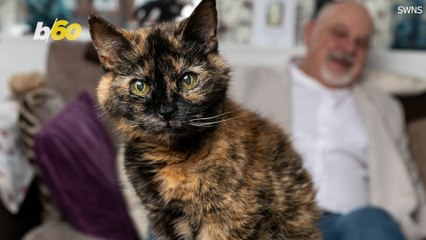 Could This Be The World’s Oldest Cat?