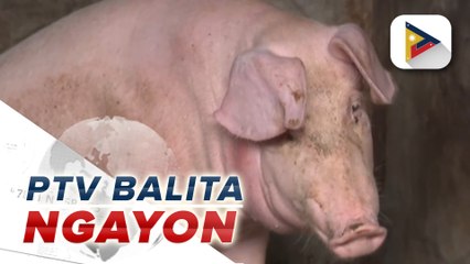 Comelec Chair Garcia, pinaiimbestigahan sa AMLC ang alegasyon ng panunuhol