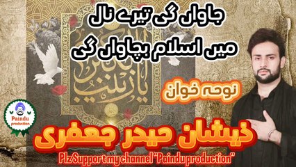 جاواں گی تیرے نال میں اسلام بچاواں گی، پنجابی نوحہ نوحہ، نوحہ خوان ذیشان حیدر جعفری  Jawaan gi tary naal ma Islam bachawan gi, Punjabi noha noha 2024, Zeeshan Haider Jaffary,